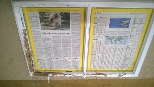 Wurmbefall-e1512559164748